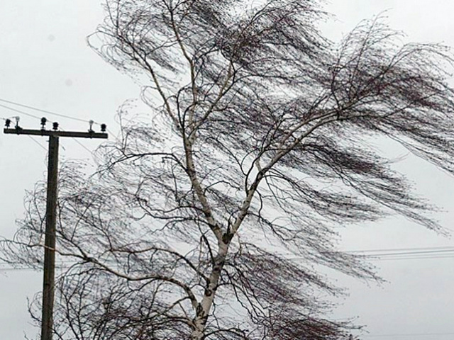 В Молдове более 20 населенных пунктов остались без света из-за ураганного ветра