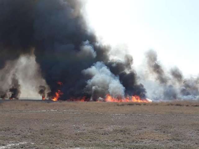 Очередной пожар в Татарбунарском районе уничтожил кладки диких уток (фото)