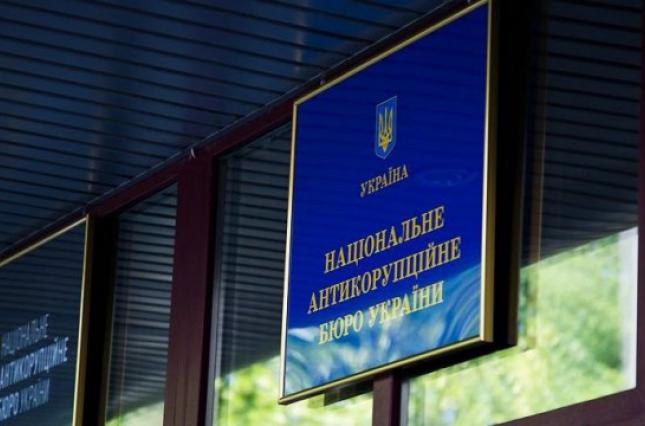 НАПК возьмется за проверку декларации мэра Белгорода-Днестровского Аллы Гинак
