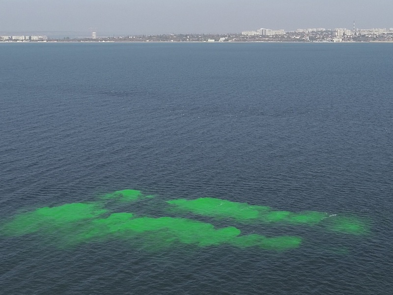 Глубоководный выпуск: Ухудшение экологии Одесского залива было спрогнозировано более 30 лет назад